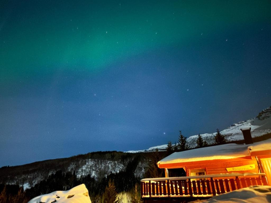 Maxi's Cabin Image 1