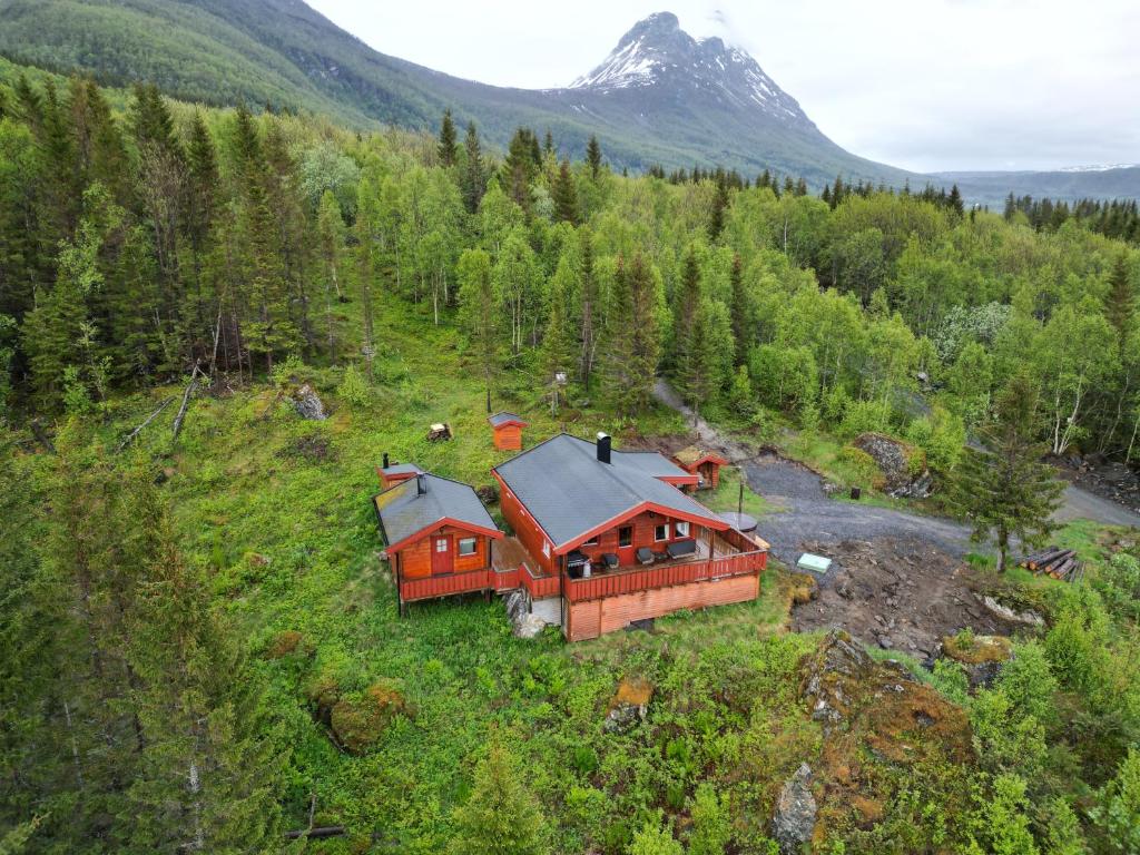 Maxi's Cabin Image 3