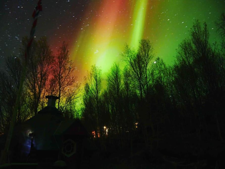 The Midnight Sun Cabin Grov Image 1