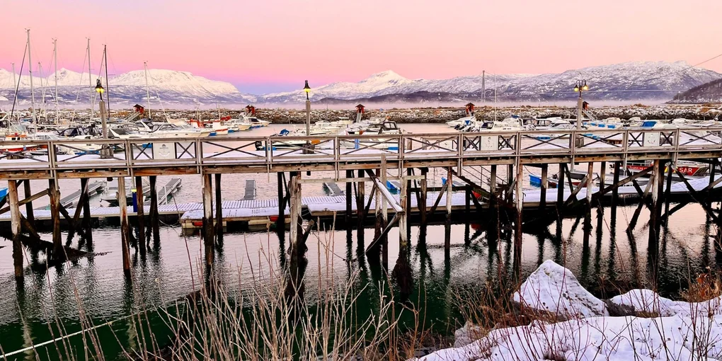 Northern Lights Image 1