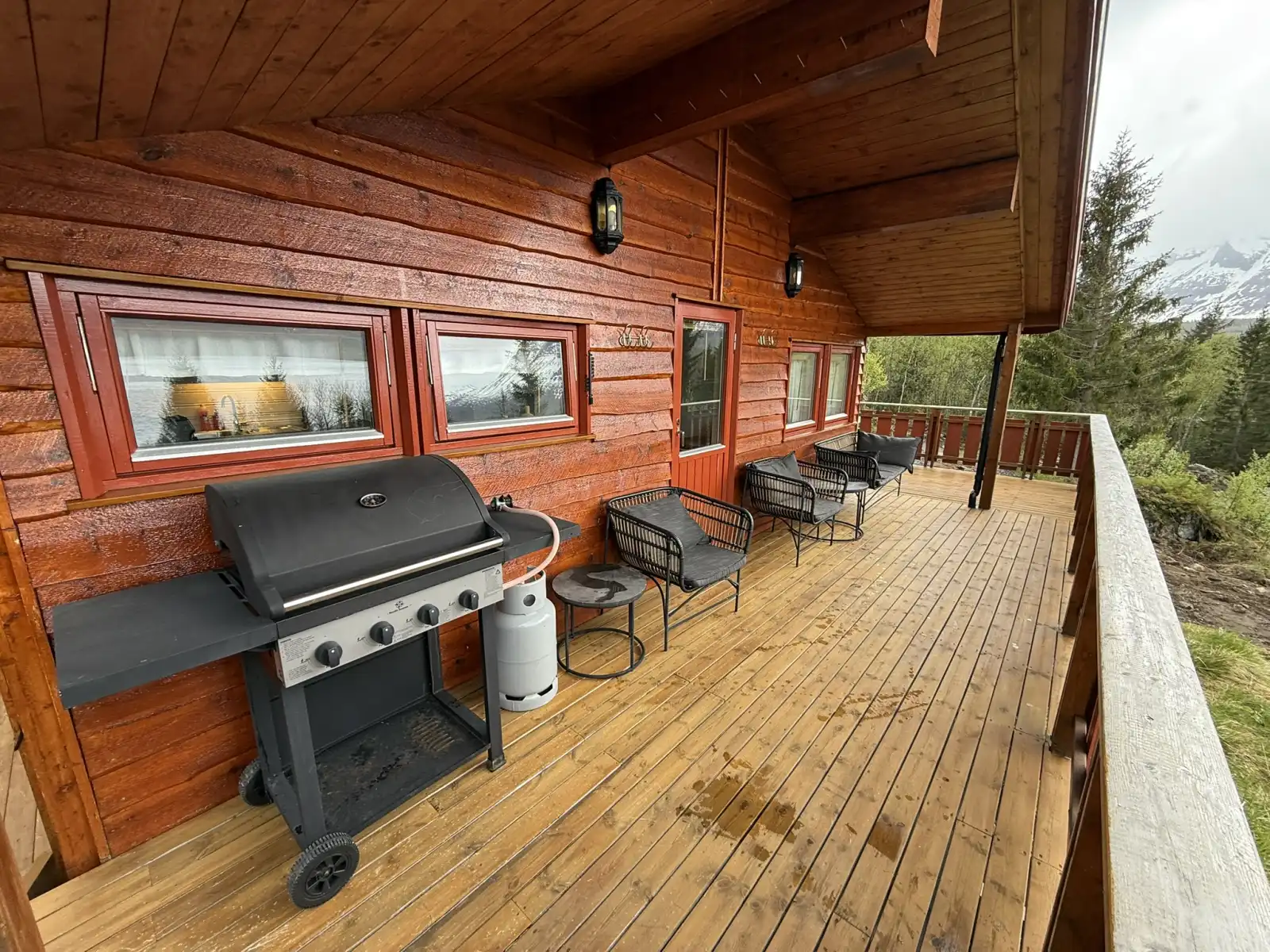 Maxi's Cabin