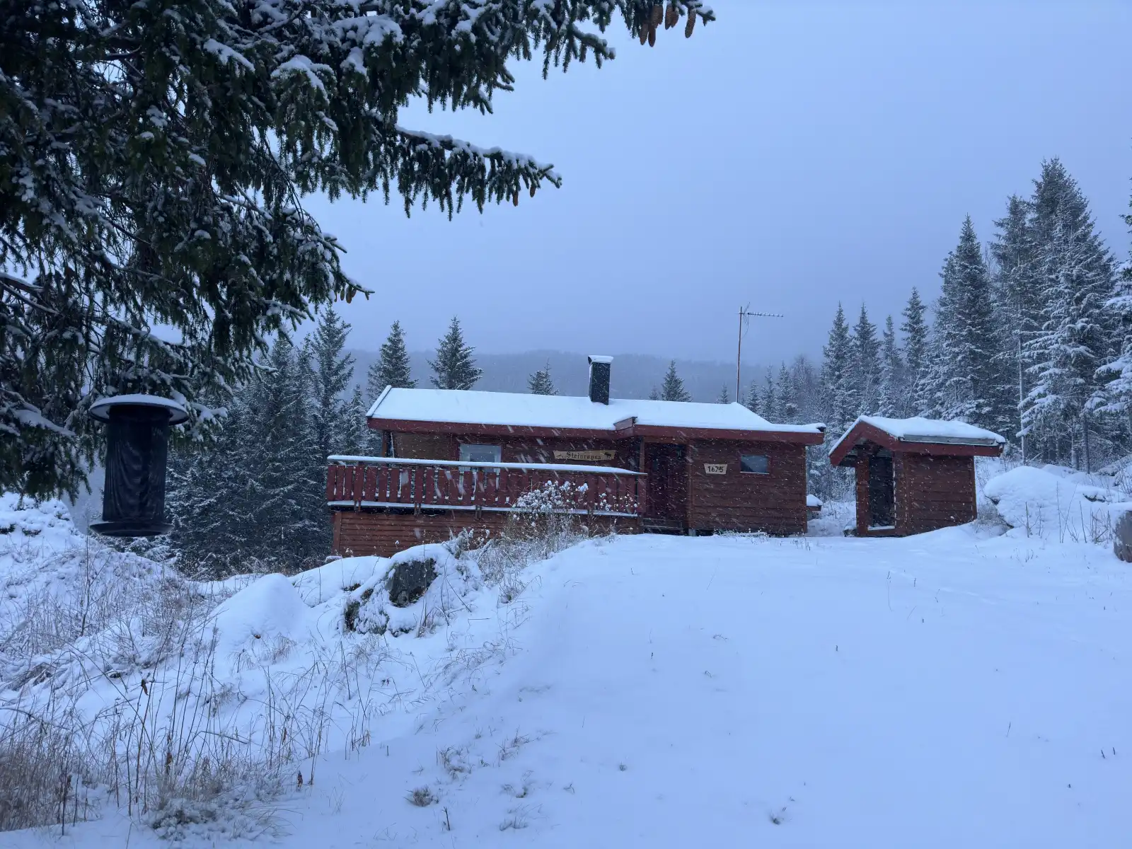 Maxi's Cabin