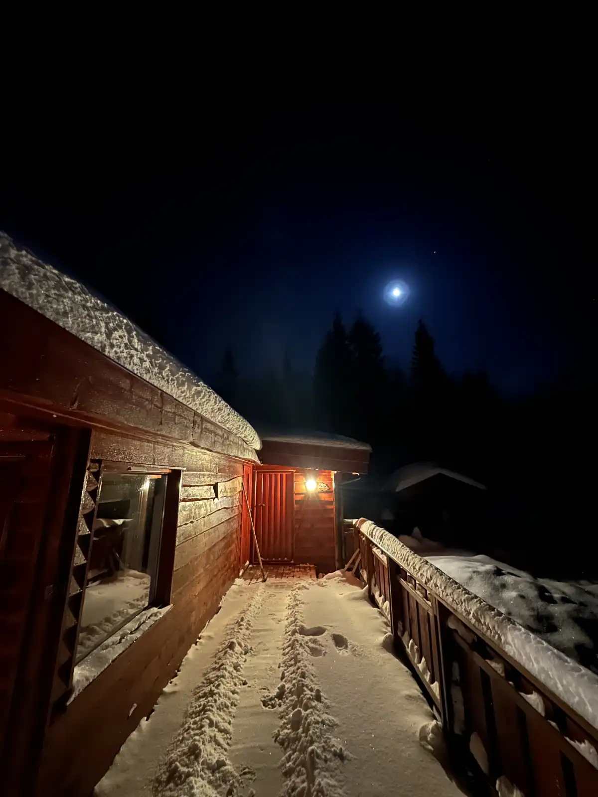Maxi's Cabin