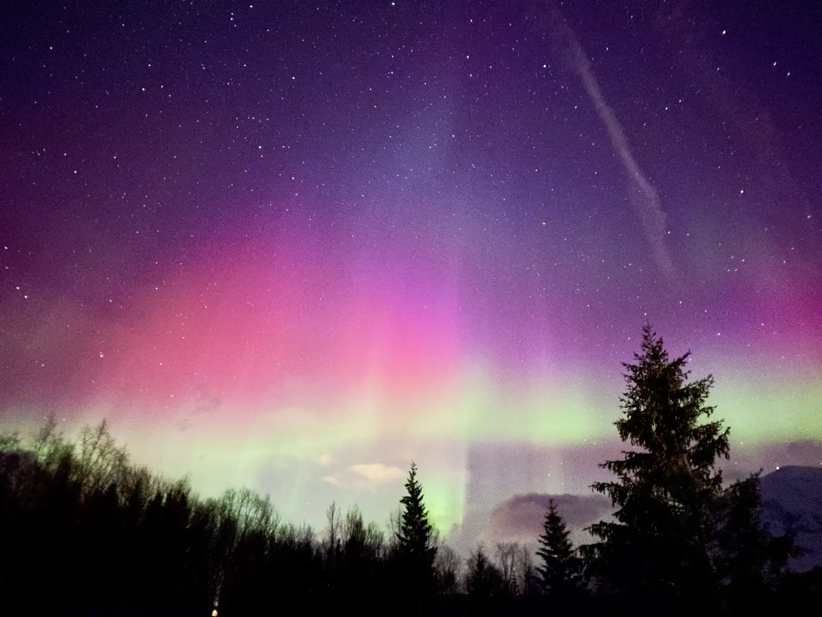 Maxi's Cabin
