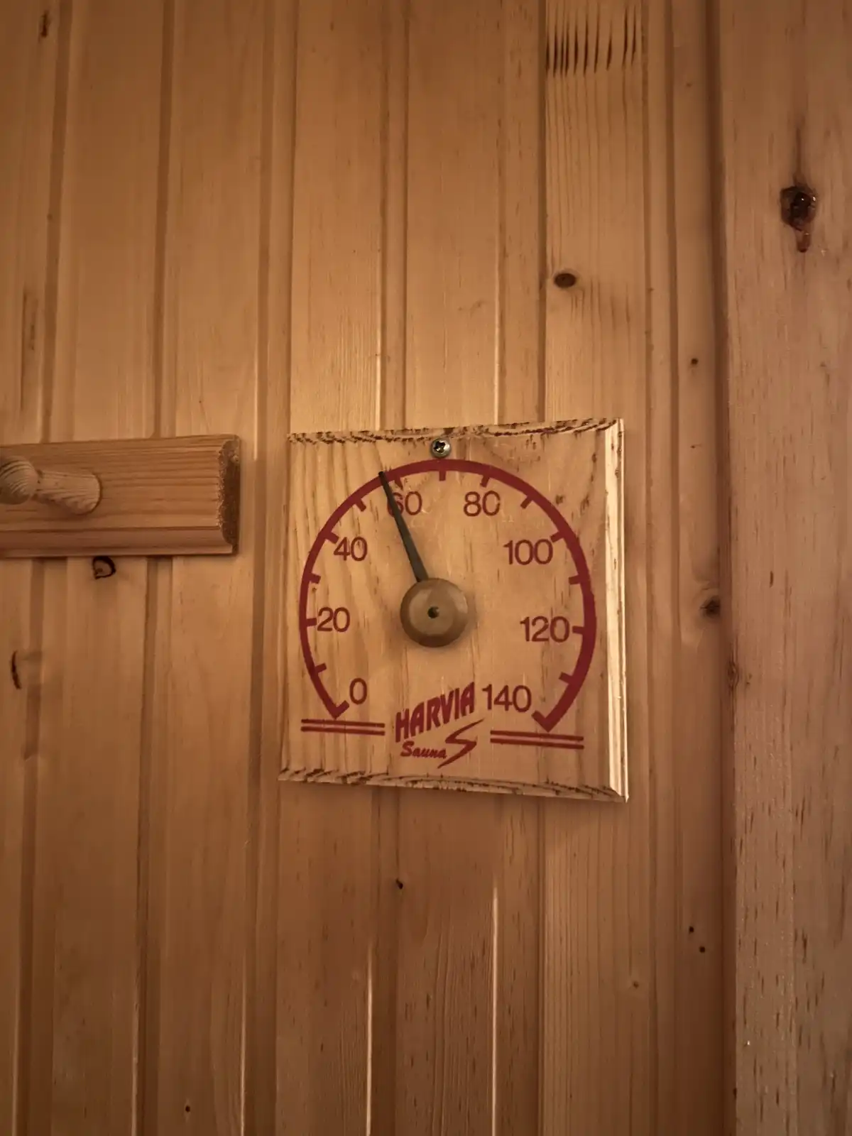 Maxi's Cabin