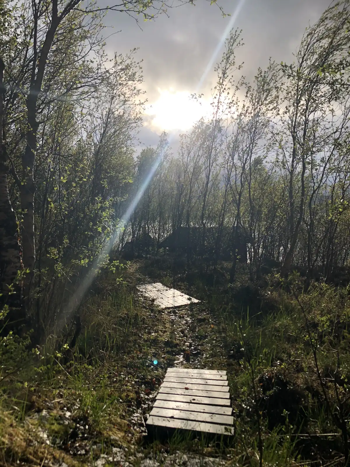 The Midnight Sun Cabin Grov