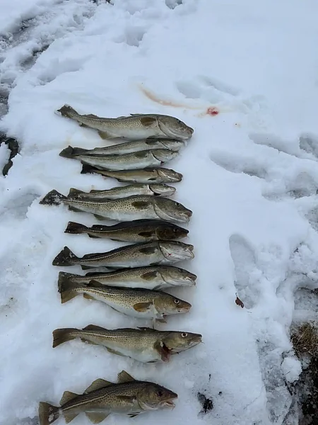 Fishing Adventure with Local Guide