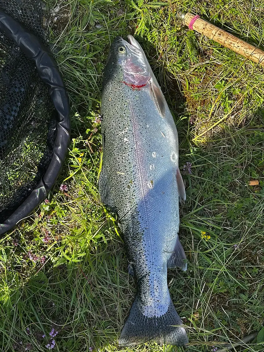 Fishing Adventure with Local Guide