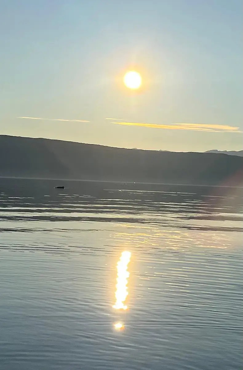 Fishing Adventure with Local Guide