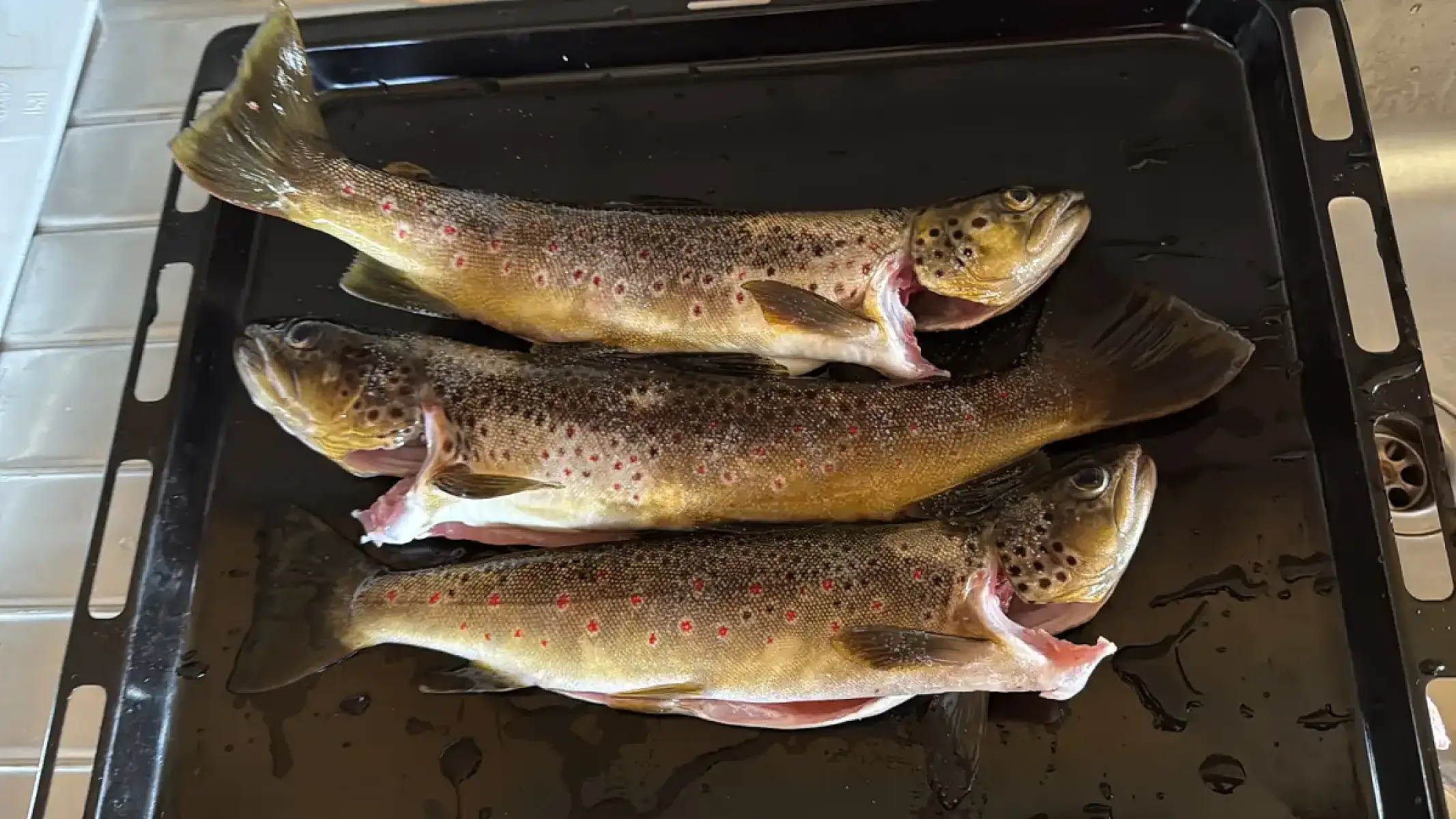 Fishing Adventure with Local Guide
