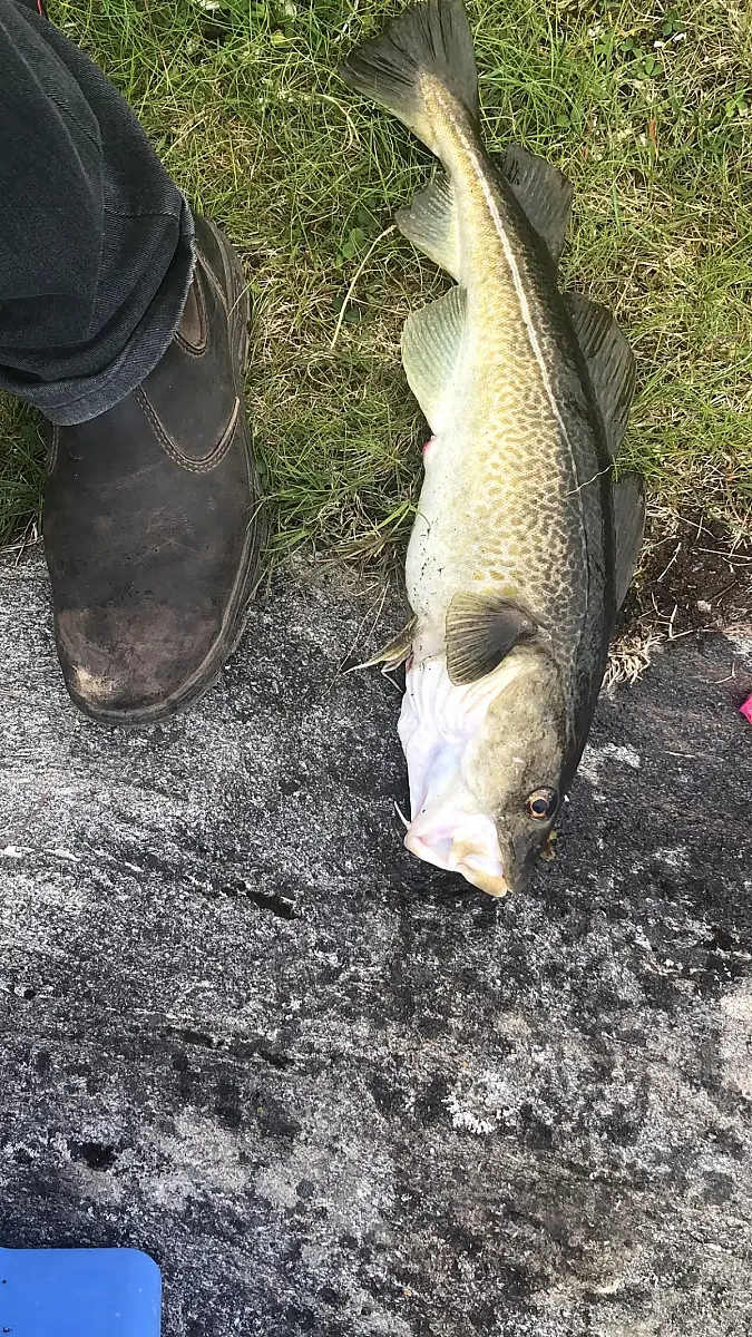 Fishing Adventure with Local Guide