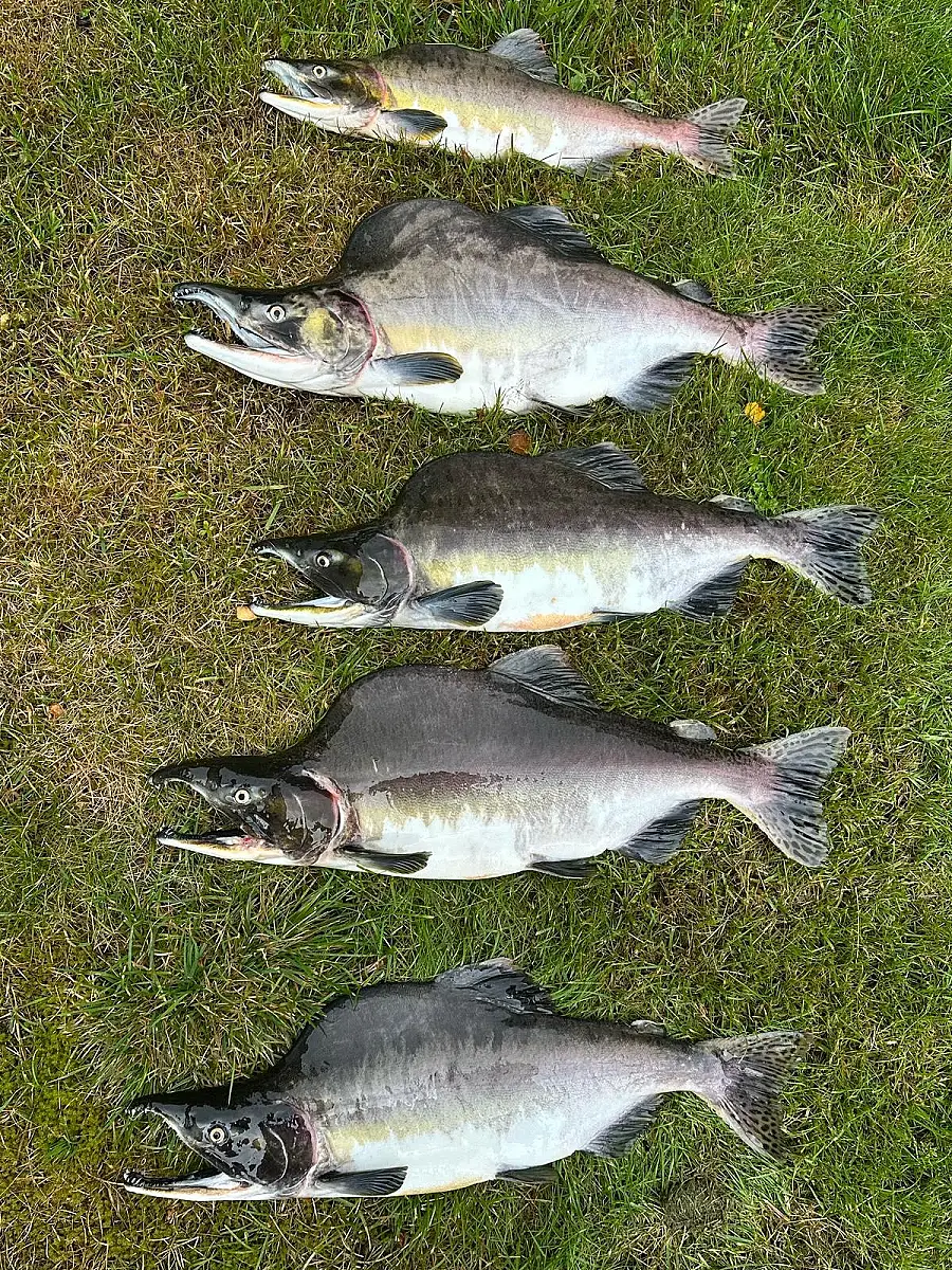Fishing Adventure with Local Guide