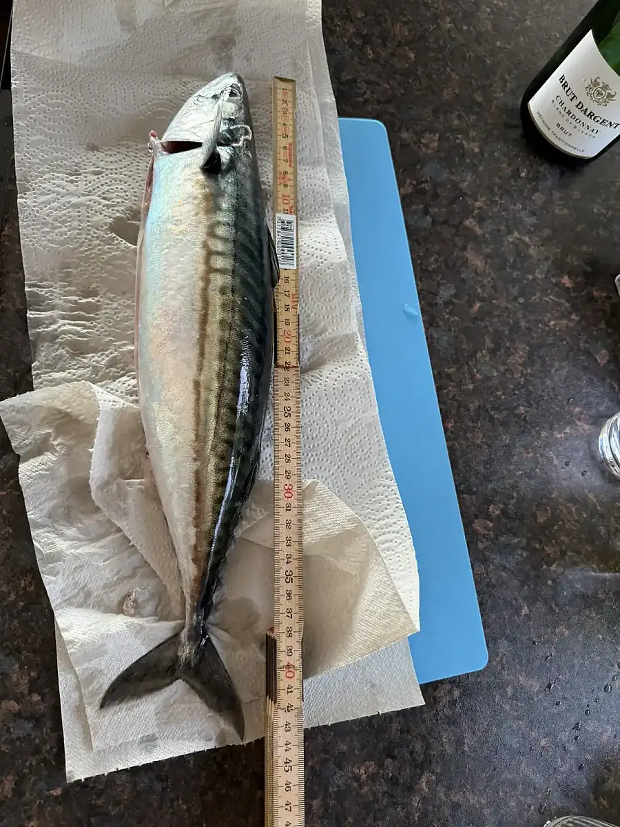 Fishing Adventure with Local Guide