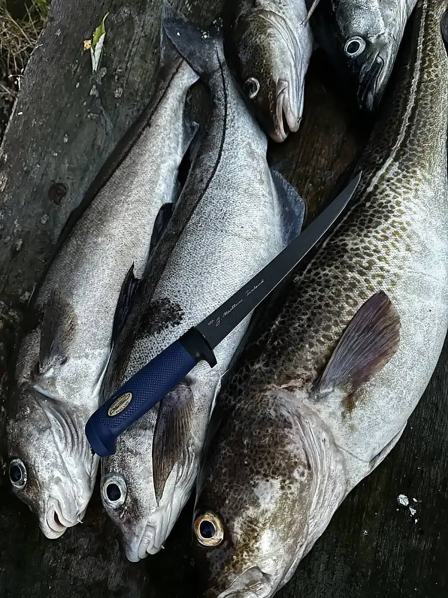 Fishing Adventure with Local Guide