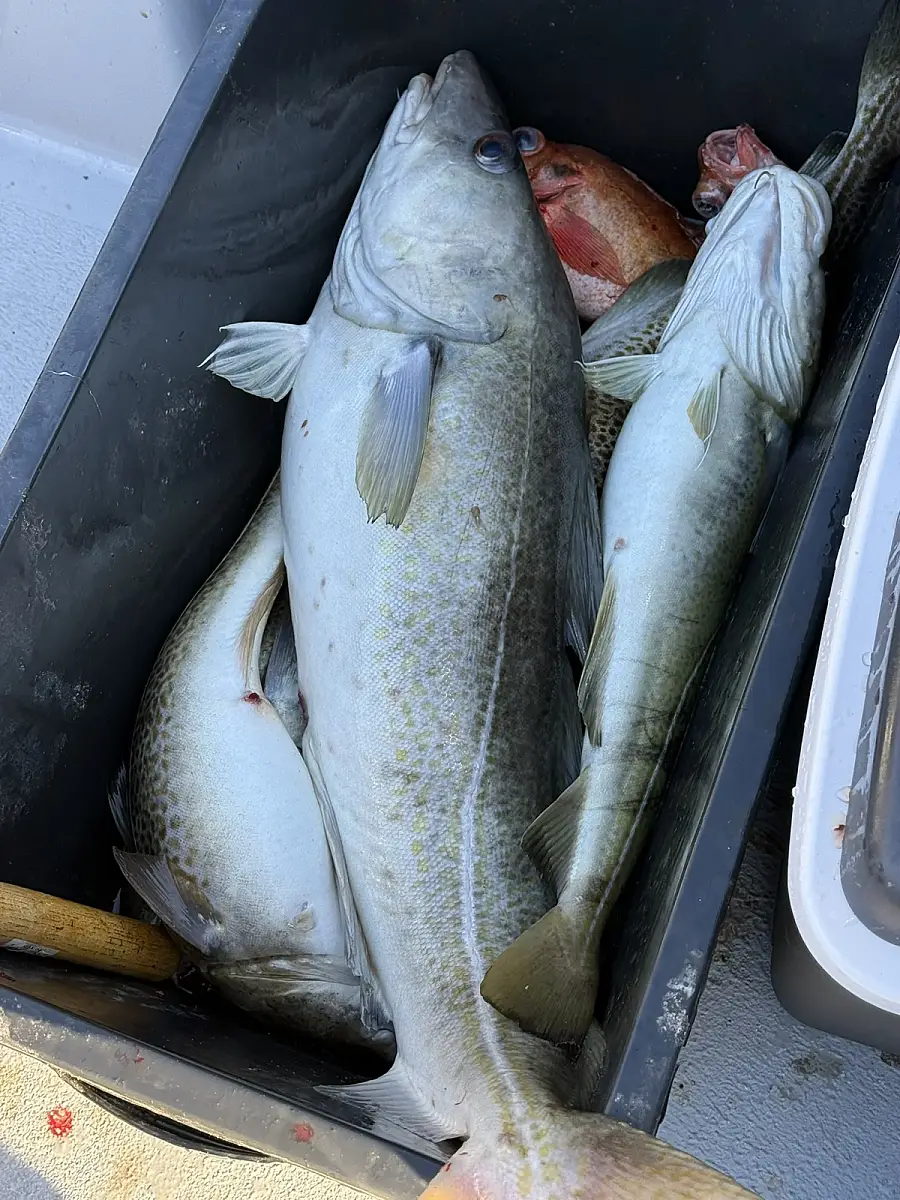 Fishing Adventure with Local Guide