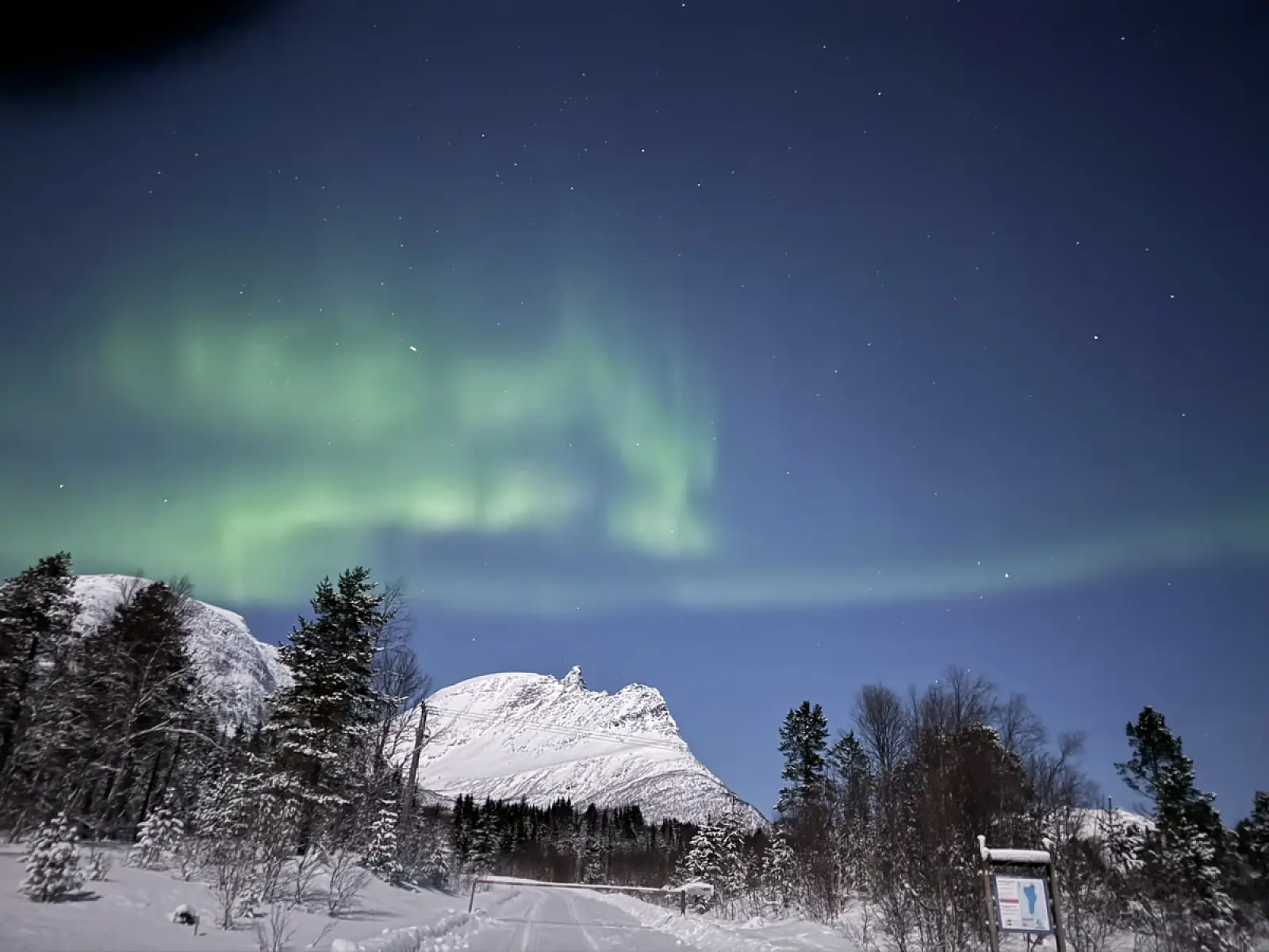 Northern Lights Tours