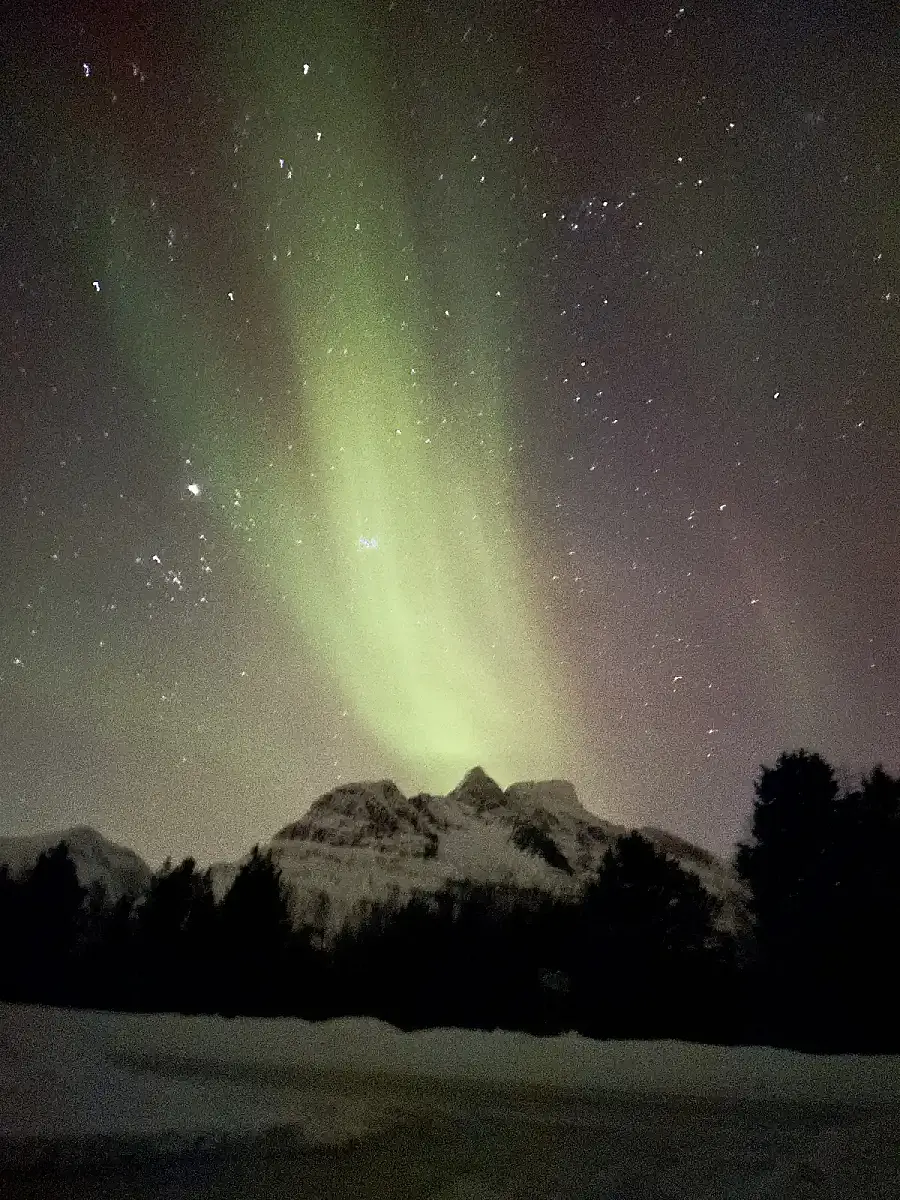 Northern Lights Tours