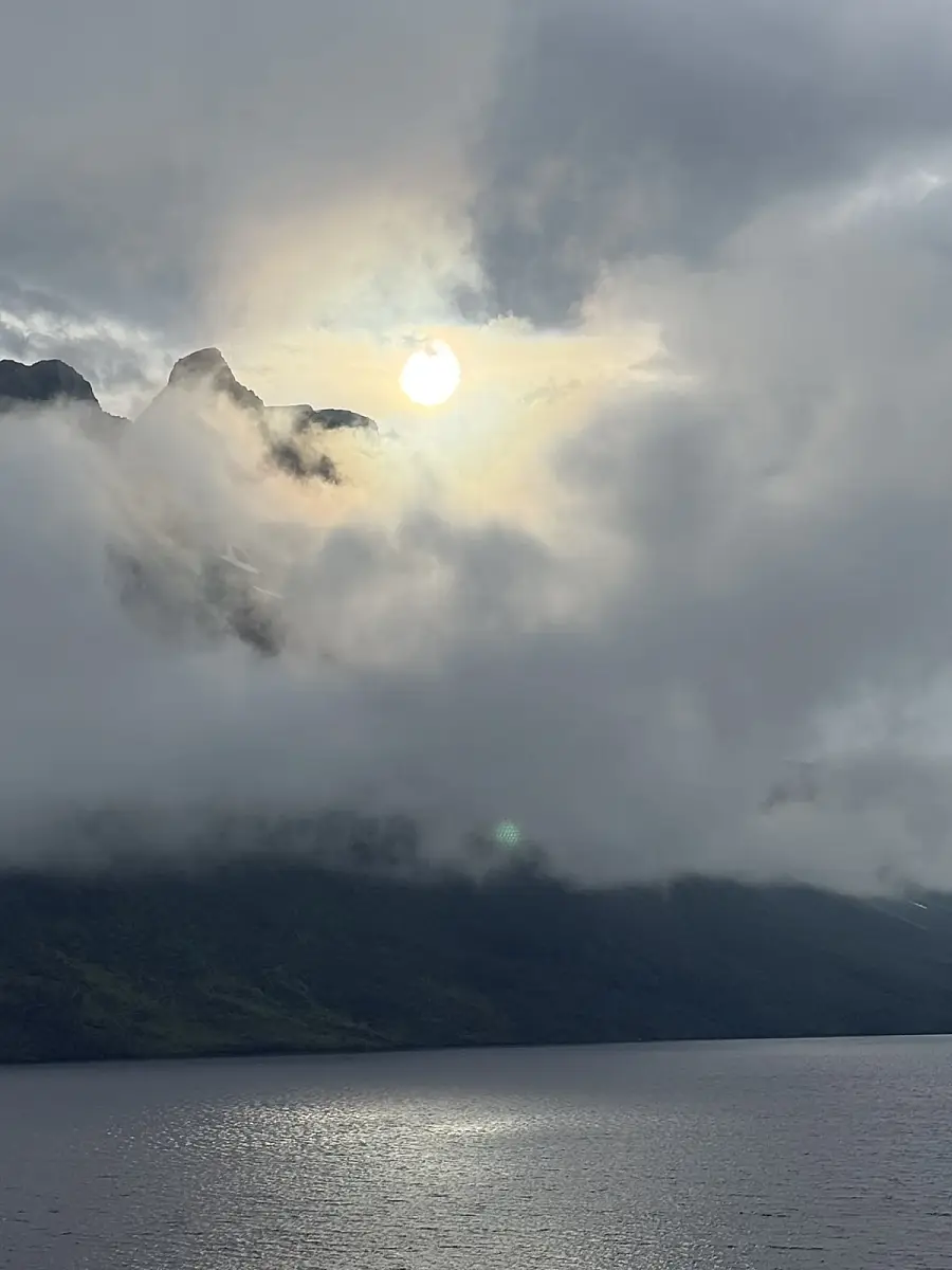 Puffin Watching and Midnight Sun Boat Tour