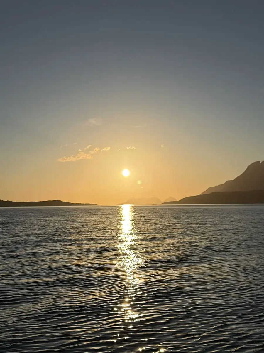 Puffin Watching and Midnight Sun Boat Tour