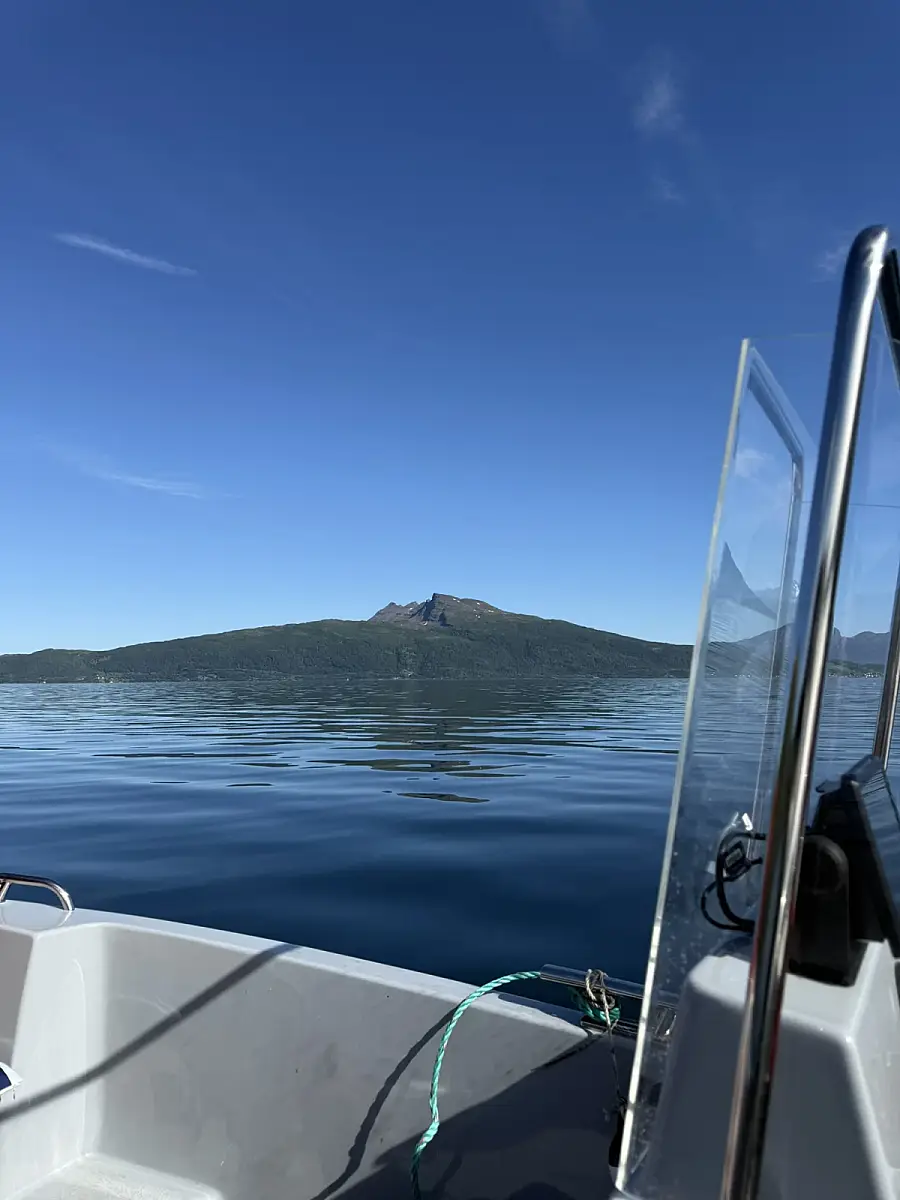 Puffin Watching and Midnight Sun Boat Tour