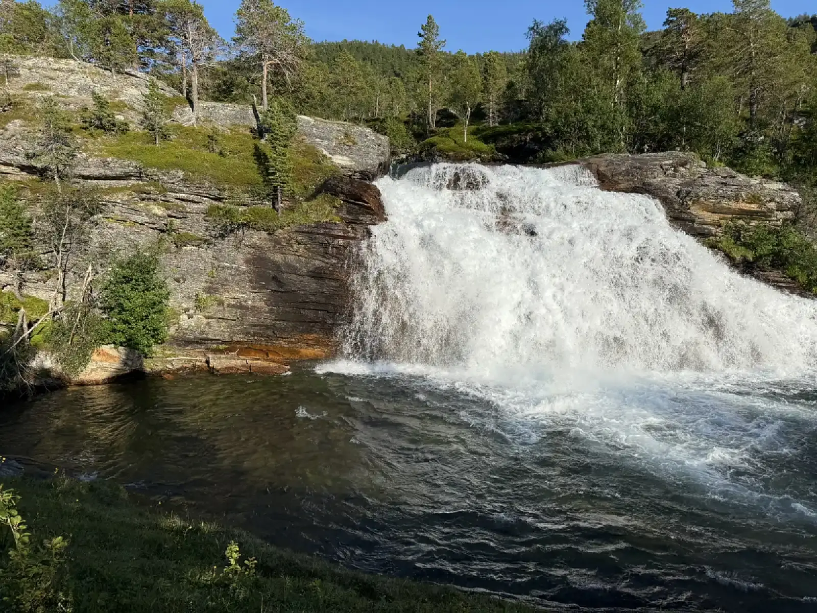 Day tour of Fjords with stop at Sami Reindeer farm