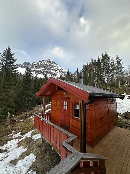 Maxi's Cabin