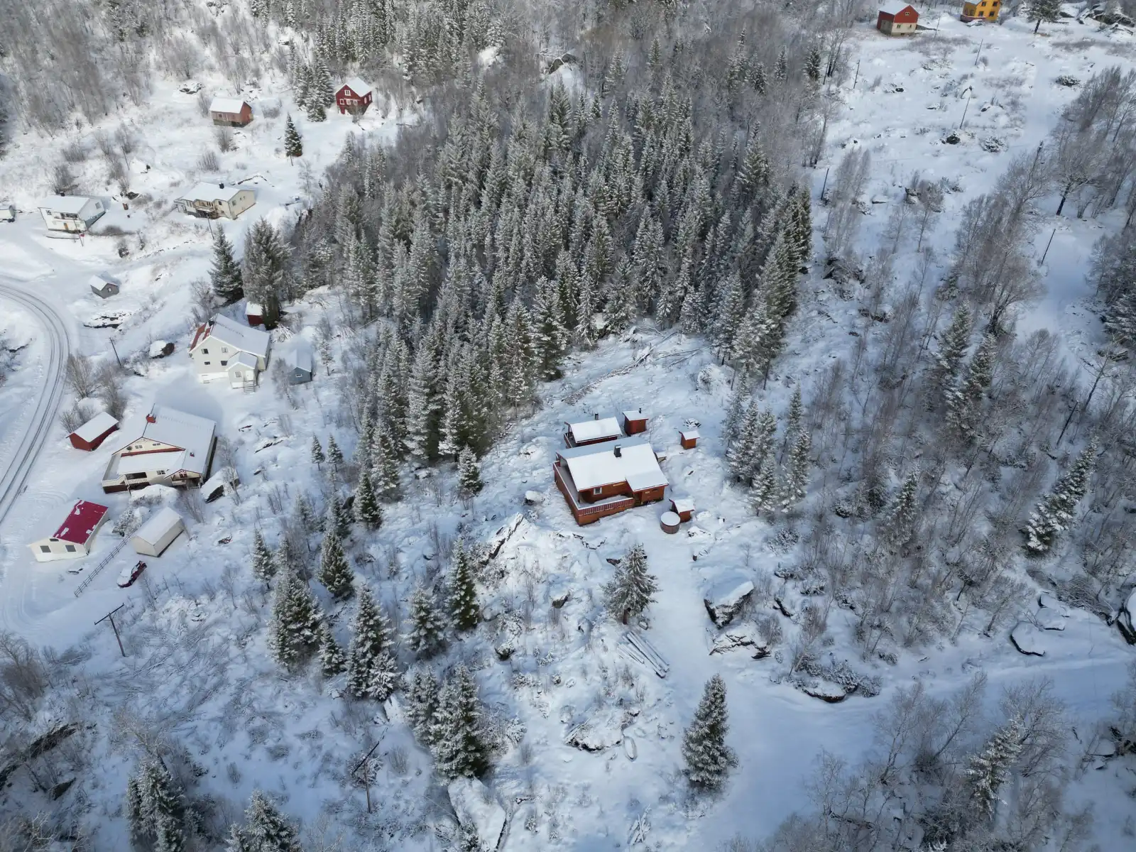 Maxi's Cabin